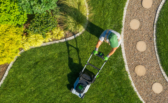 Image - Gemeinsames Gerätehaus für Kita und Kolumbarium 