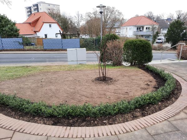 Image - Photos Fertigstellung Aussenanlagen Josefkirche Belm 2024 01 30 1 Seite 5